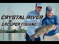 Grouper fishing crystal river  bull bay rods in action  reel animals fishing show