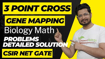 3 point cross gene mapping problems | Total map distance and Recombination frequency calculation
