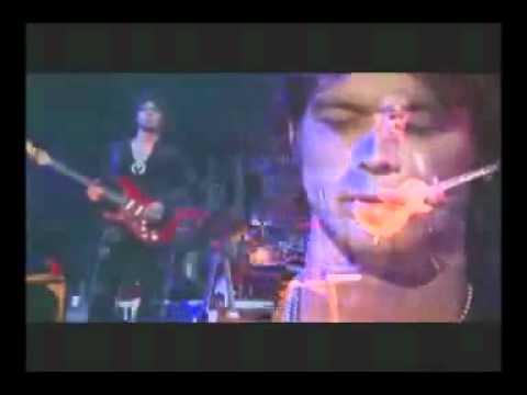 Roger Waters Subtitulado   06   Pigs on the wind   Dogs Part