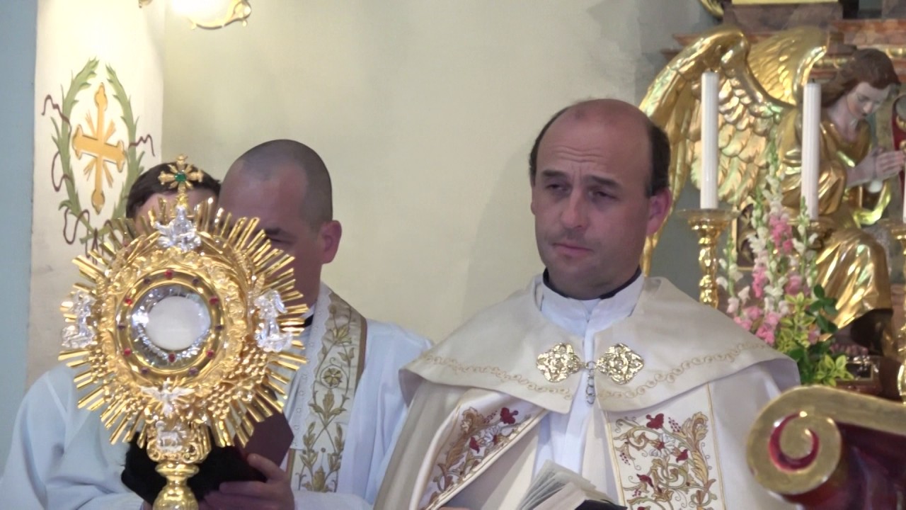 DEKANIJSKA MARIJANSKA PROCESIJA KRALJICE SLOVENCEV MARIJE POMAGAJ Z BREZIJ, ŽUPNIJA DOB, 23  5  2017