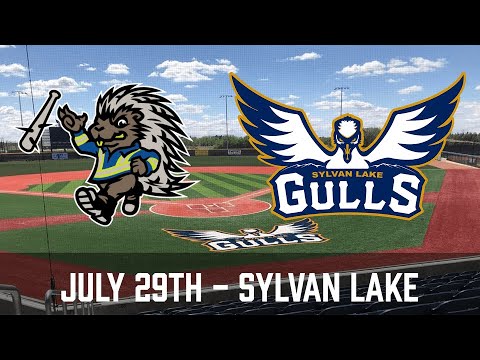 FULL GAME: Energy City Cactus Rats at Sylvan Lake Gulls - July 29, 2025 from FloCollege