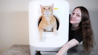 Petkit Pura X Automatic Litter Box Review (We Tested It)