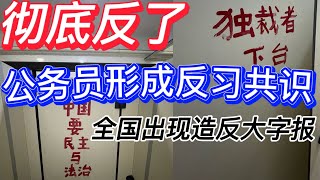 彻底反了：公务员形成反习共识｜全国出现造反大字报