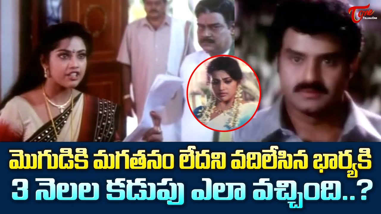 మొగుడికి మగతనం వదిలేసిన భార్య 3నెలల కడుపు ఎలా | Balakrishna Meena Movie Ultimate Scene | TeluguOne