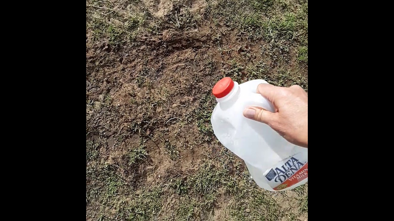 Watering the grass seeds on the Greenway Day 3 