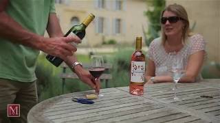 Vineyard for sale in the Saint-Emilion area, France &quot;STUNNING&quot; filmed with DJI Phantom 4