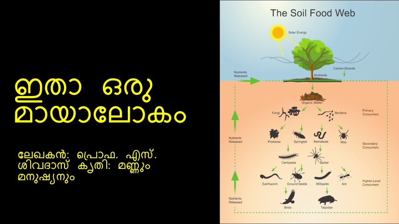 Dr. William Beebe and the Hidden World of Soil | Itha Oru Mayalokam | Prof. S. ഇതാ ഒരു മായാലോകം