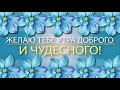 ✅Желаю тебе утра доброго и чудесного✅