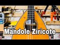 Mandole rosace ziricote