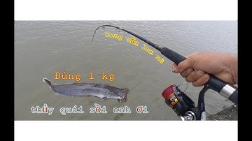 Câu cá trên trụ cầu cao tốc ngày mưa bão/cái kết ấm lòng