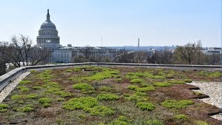 Green Roof Reflects United Methodist Care for Earth