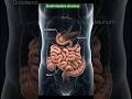 small intestine structure| jejunum illum duodenum#anatomy #shorts