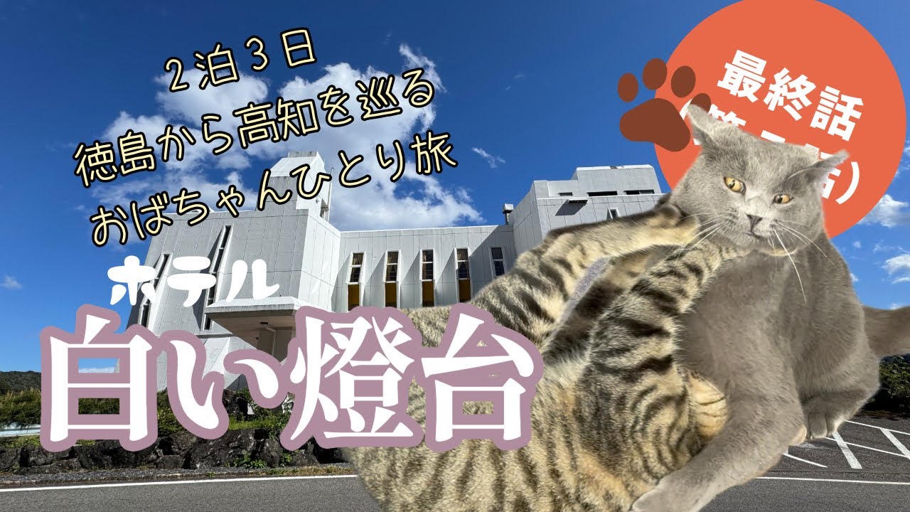 第7話　ホテル白い燈台〜徳島から室戸岬まで巡るおばちゃん2泊3日のひとり旅/南海フェリー公共交通機関でいく！時々レンタカー［看板猫がいるホテル］