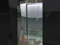 No Seal, No Leak | Bottom Magnetic Mixer by BOAO