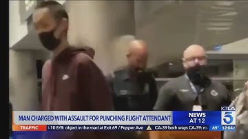 Irvine man charged with assaulting American Airlines flight attendant, causing plane to be diverted