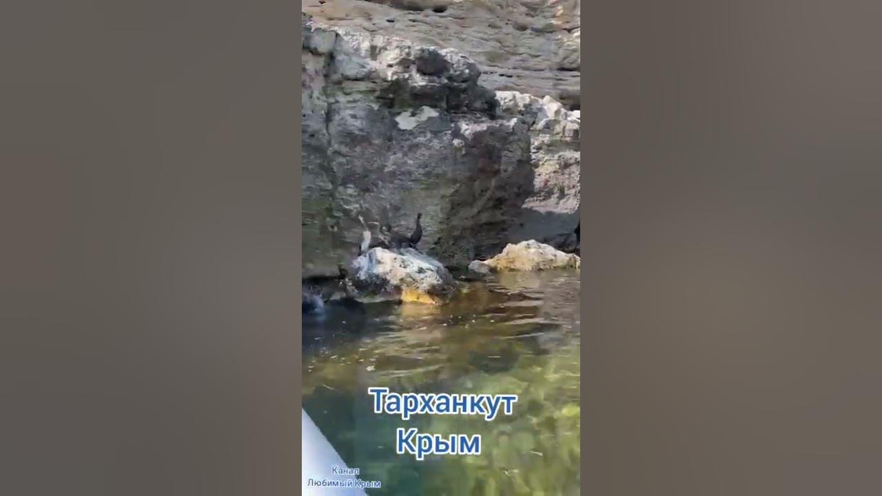 Чаша любви Крым человек амфибия