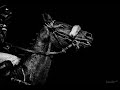 Desperado||Horse Racing Music Video||