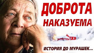видео: 💗ВПЕРВЫЕ на YouTube💗История до слёз. Приютила бездомного, но когда искупали и подстригла, увидела... картинка: 💗ВПЕРВЫЕ на YouTube💗История до слёз. Приютила бездомного, но когда искупали и подстригла, увидела...