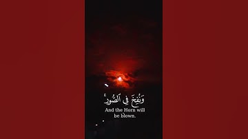 #تلاوة_خاشعة #ياسر_الدوسري #سورة_الملك #سورة_الفلق #سورة_الرحمن #سورة_البقرة #سورة_الكهف #سورة_الكهف