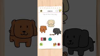 Celebrity brain test all star level 19 solution Wealth