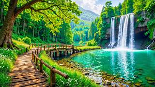 Gentle Healing Music For Health And Calming The Nervous System, Deep Relaxation screenshot 2