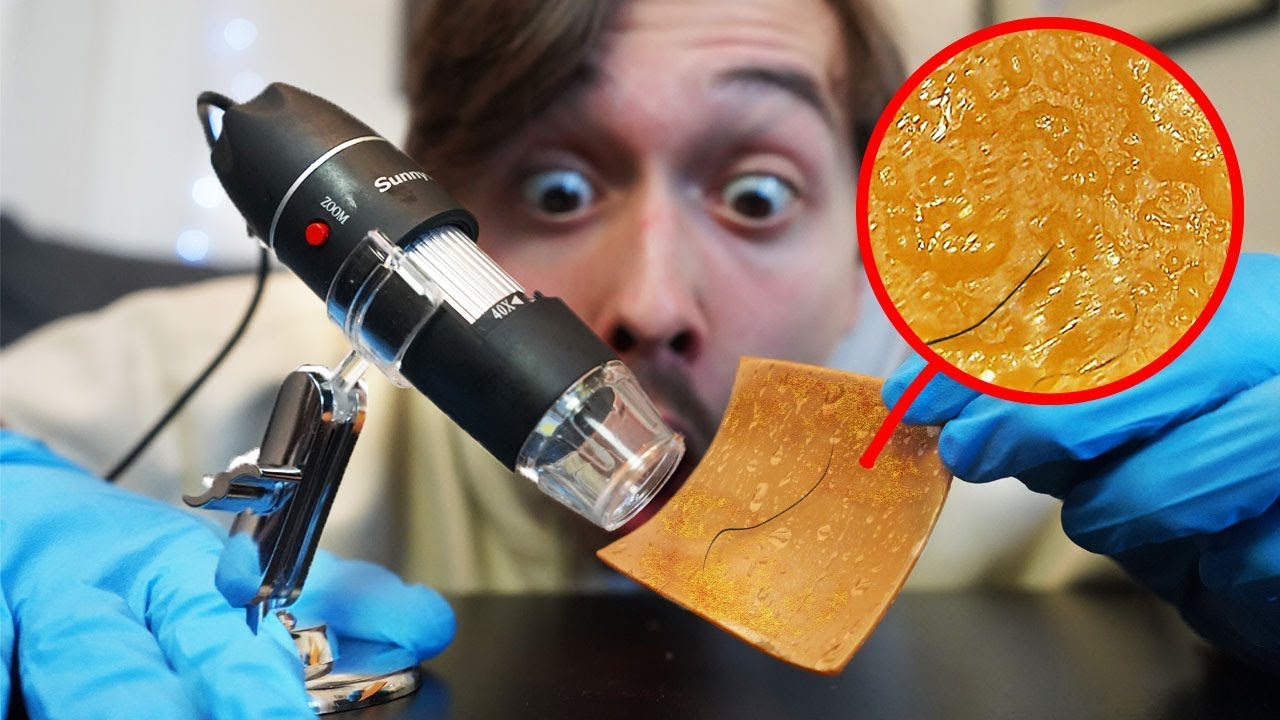 Fromage McDo de 2 ans au Microscope