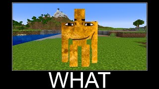 Minecraft WAIT WHAT meme 24/7 Livestream #341