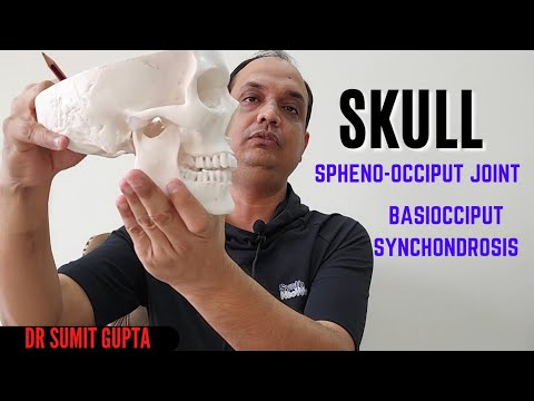 Video: Wat is het spheno-occipitale gewricht?