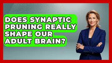 Does Synaptic Pruning Really Shape Our Adult Brain? - Brain Development Hub
