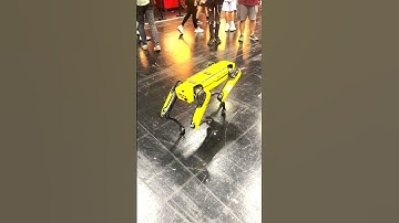 Xbox ANZ was on the ground at gamescom 2025!