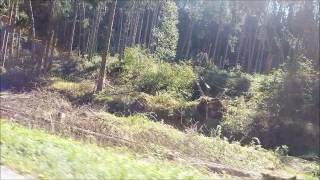 Unwetter Im Waldviertel