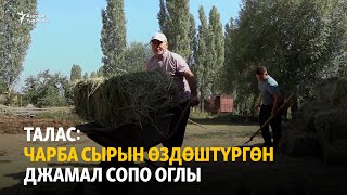 Талас: Чарба сырын өздөштүргөн Джамал Сопо Оглы