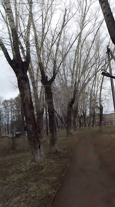 Стоят девчонки,стоят в сторонке....Хорошего всем настроения! - YouTube