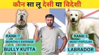 Top 5 Differences Between Bully Kutta and Labrador | Indian Dog Breed VS Foreign Dog Breed by Wildlife Claws 779 views 1 year ago 4 minutes, 57 seconds
