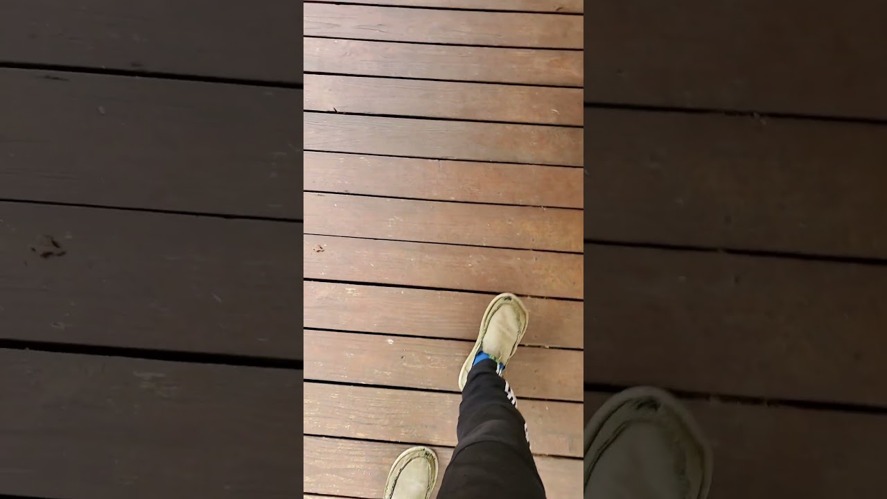 classic cars classic trucks 5.0 mustang shows...