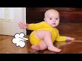 Cutest Baby Farts Compilation That You Must See! 😆 Funny Fails Videos