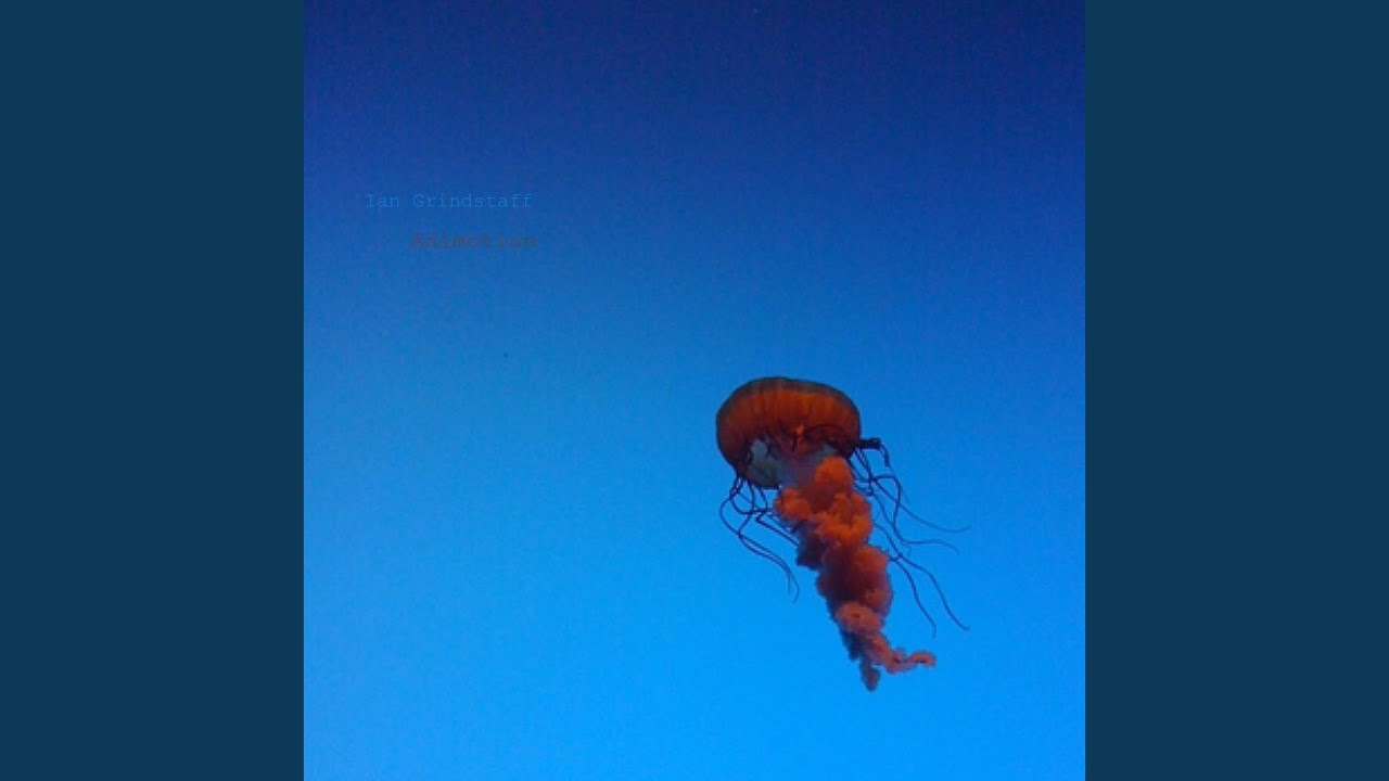 Worth a Thousand Words