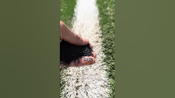 What’s Really Inside Artificial Turf?