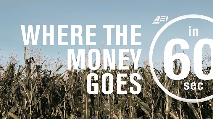 Farm subsidies: Where the money goes | IN 60 SECONDS - DayDayNews