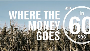 Farm subsidies: Where the money goes | IN 60 SECONDS