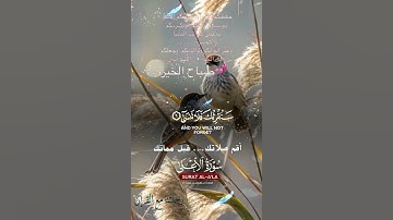 تلاوة خاشعة عطرة مباركة جميلة عذبة للشيخ ماهر المعيقلي ماتيسر من سورة الأعلى