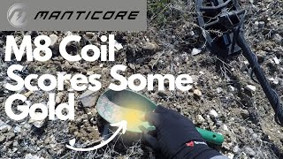 Gold Found! Minelab Manticore M8 Coil Gold Nugget Hunting