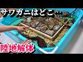 プールからサワガニが消えたワケとは…?
