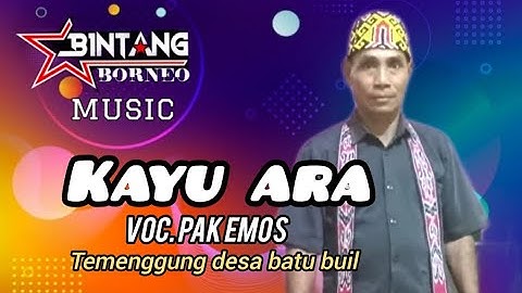 PANTUN KAYU ARA || voc, Pak Emos || BBM audio || Balai agas 12 Juli 2024