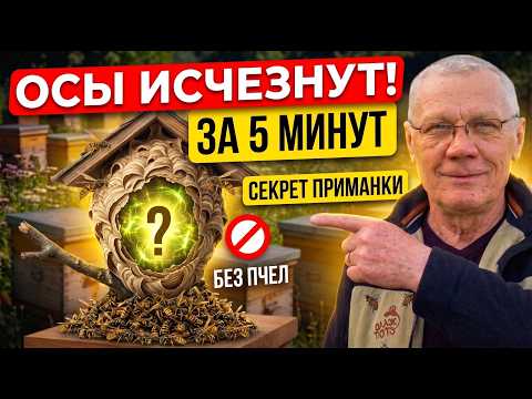 How to Get Rid of Wasps Forever: The Best DIY Solution