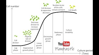 Plant Tissue Culture - Suspension  Culture