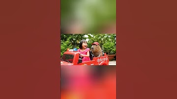 Bé lái xe cứu hỏa cùng Capy đi giải cứu đám cháy #capybara