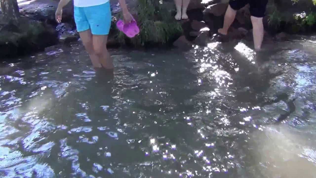 Голубая криница в Славгородском районе  Медовый спас  Обзор  Blue spring in Slavgorod district  Hone