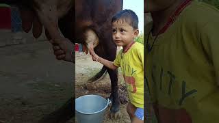 Choti Choti Gaiya Fgdfd Vggg