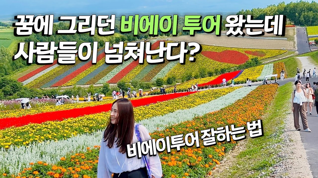 🇯🇵 삿포로 여행의 필수 코스 비에이 후라노 투어 한번에 둘러보기 🍯 꿀팁 | 나 혼자 홋카이도 여행